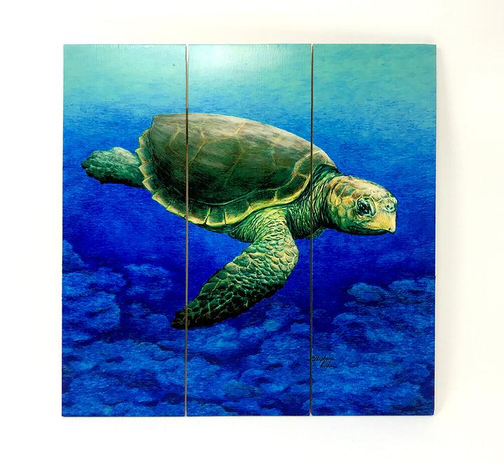 Loggerhead Turtle Wall Art