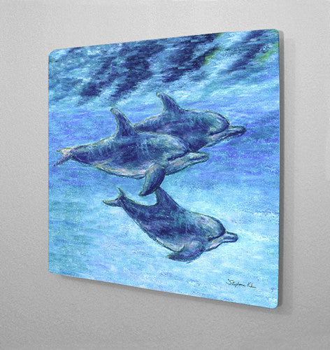 Dolphin Cruise Aluminum Wall Art