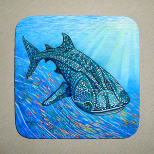 Whale Shark Coaster