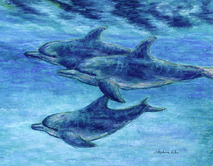 Dolphin Cruise Print