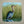 Blue Heron Coaster