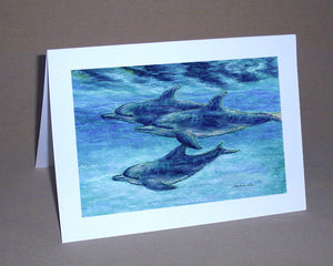Dolphin Cruise Notecard