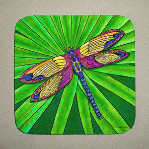 Dragonfly Coaster